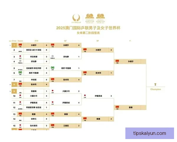 世界杯竞猜预测分析与赛程走势解读助你精准预测赛事结果